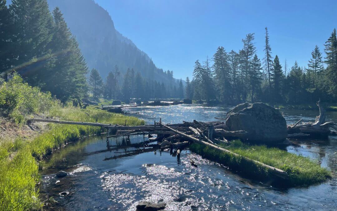 Yellowstone