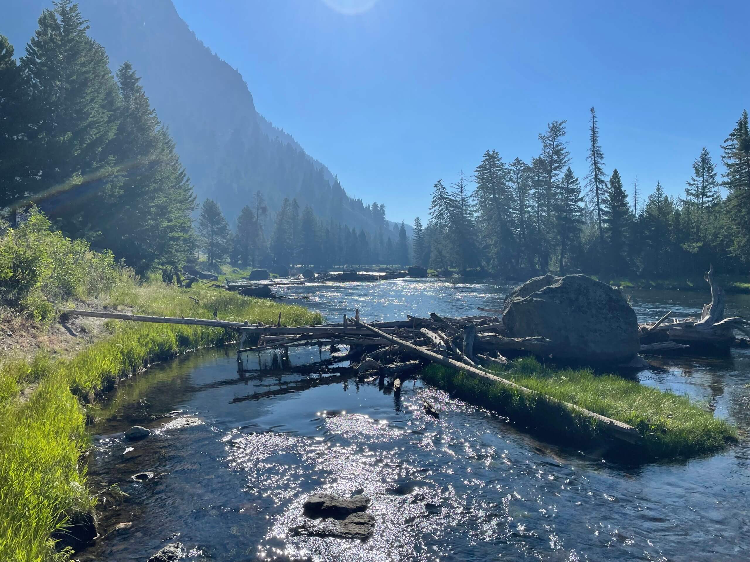 Yellowstone
